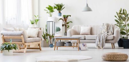 Salon inspirowany naturą