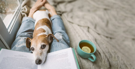 Jak zbudować cichy dom