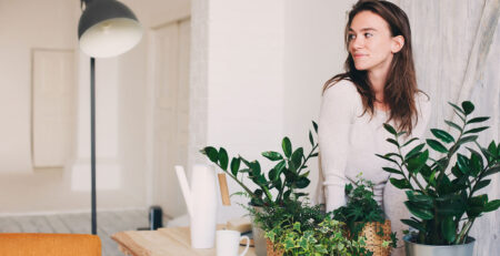 Jakie rośliny do domu