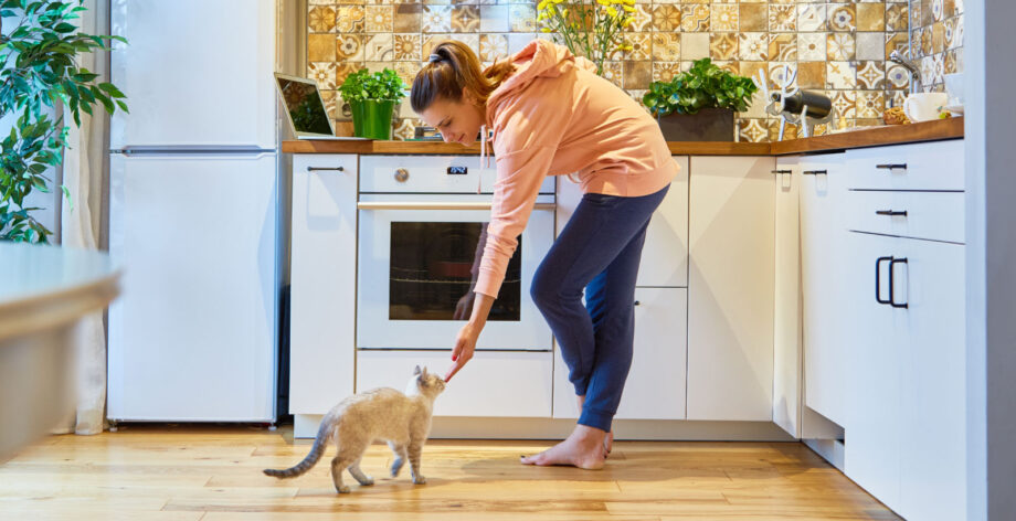 Jak funkcjonalnie urządzić kuchnię Oknoplast