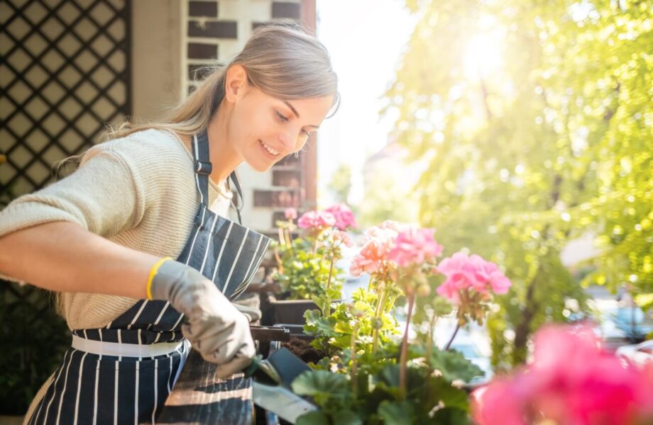 Jakie kwiaty nadają się na balon