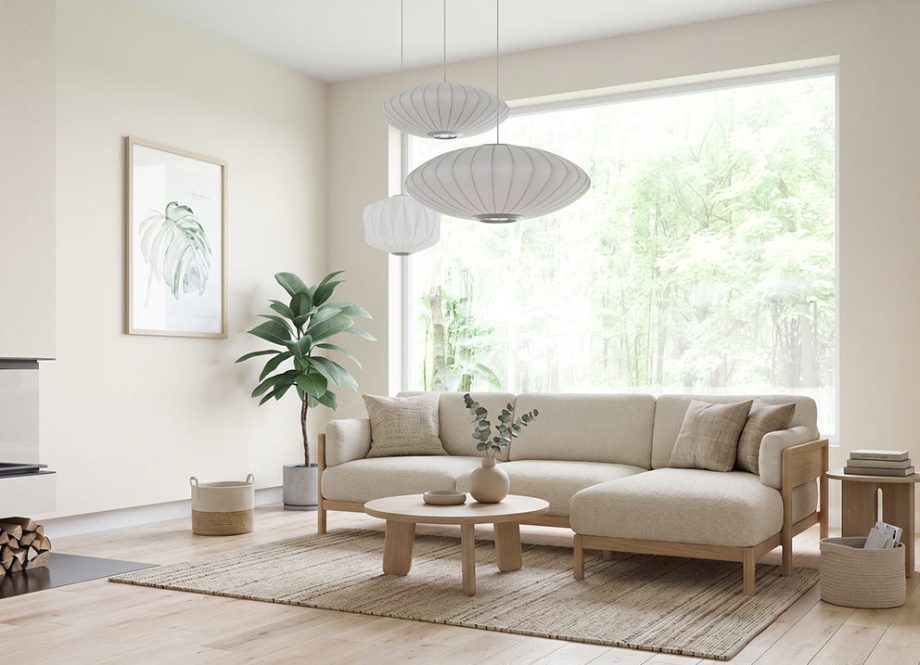 Salon w kolorze Cloud Dancer - okno - Pixel